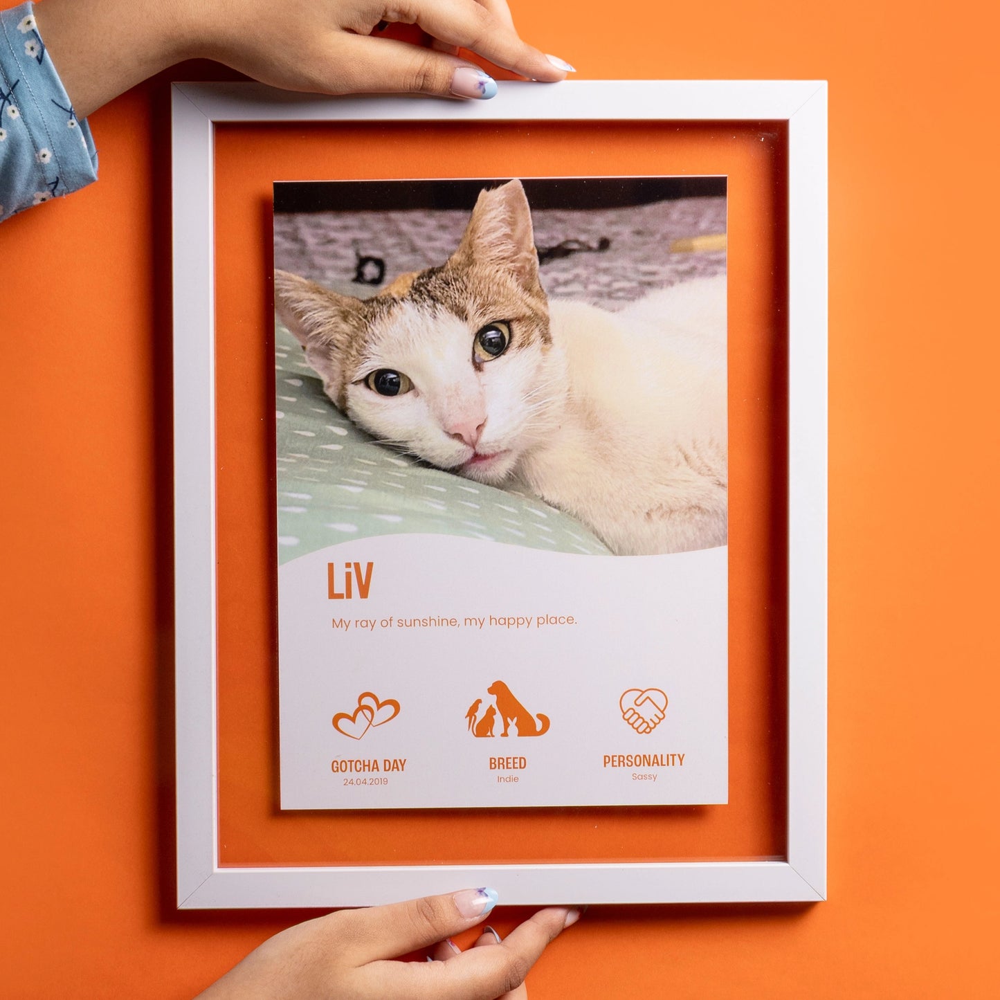 Infographic Memory Frame
