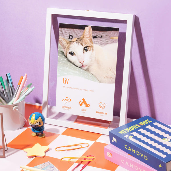 Infographic Memory Frame